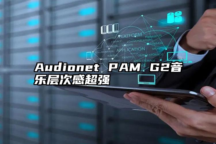 Audionet PAM G2音乐层次感超强