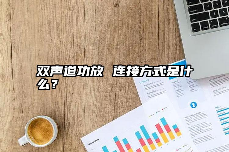 双声道功放 连接方式是什么？