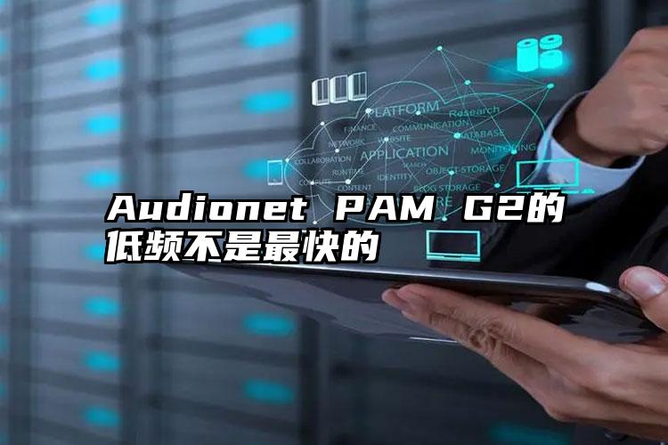 Audionet PAM G2的低频不是最快的