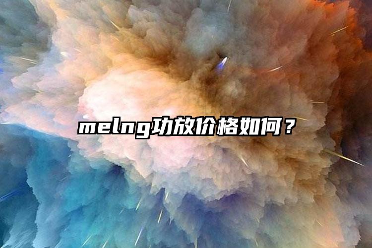 melng功放价格如何？