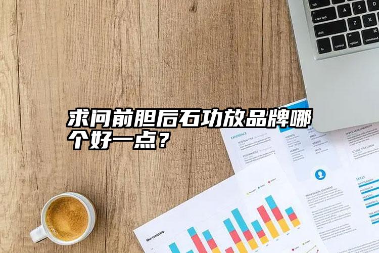 求问前胆后石功放品牌哪个好一点？